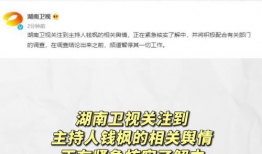 娱乐圈吃瓜表格,明星幕后故事全记录